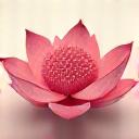 Icona di un'app di meditazione con un fiore di loto